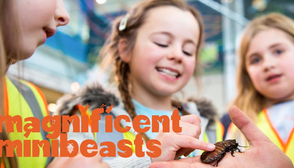 Magnificent Minibeasts at Winchester Science Centre