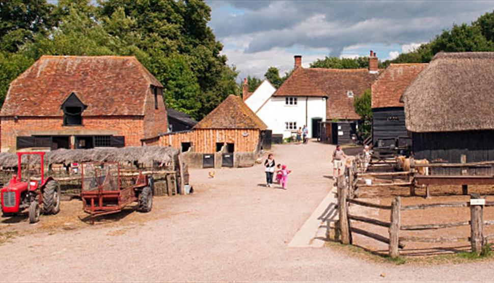 The Big Pig Weekend at Manor Farm