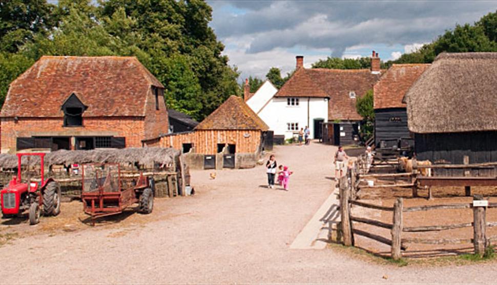 The Big Pig Weekend at Manor Farm - Visit Hampshire