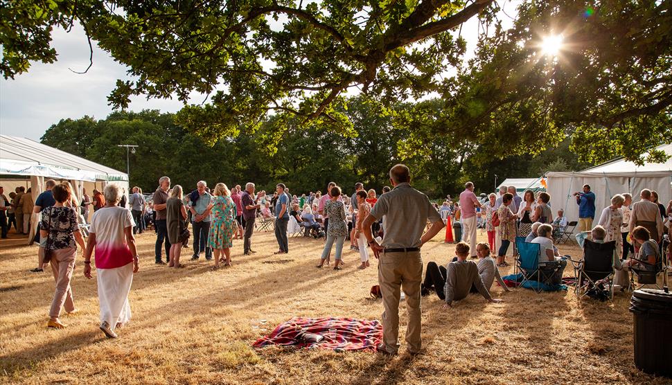 Winchfield Festival