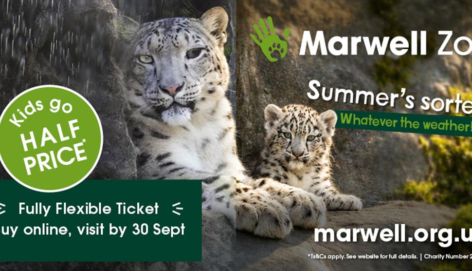 Marwell Zoo summer offer