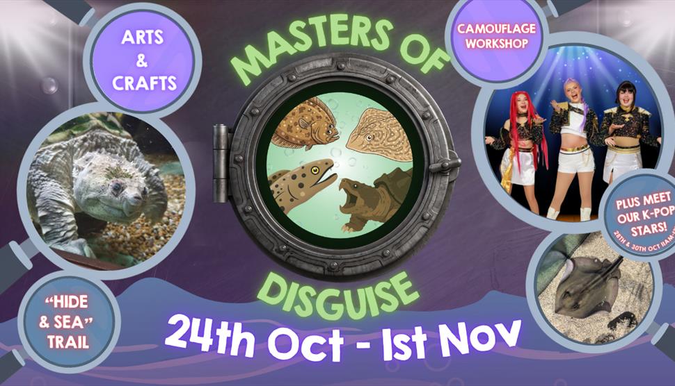 Masters of disguise