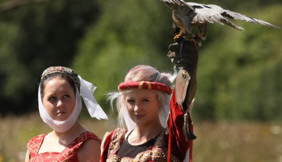 Medieval Madness at Hawk Conservancy Trust