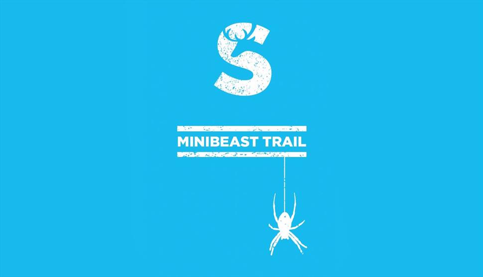 Explorer Trails at Sky Park Farm This Summer