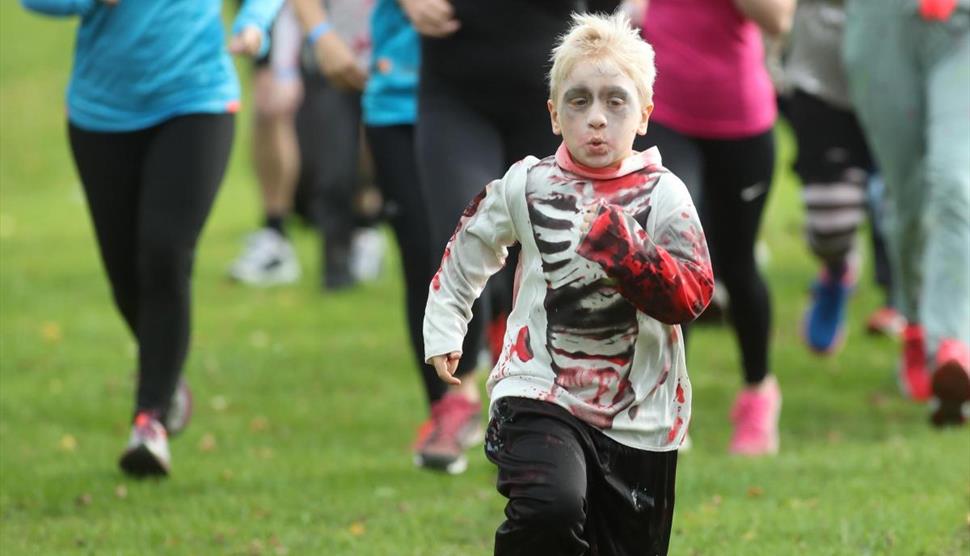Winchester Monster Dash