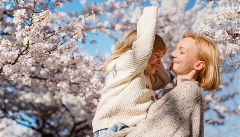 Half Price for Mums on Mothering Sunday at Exbury Gardens
