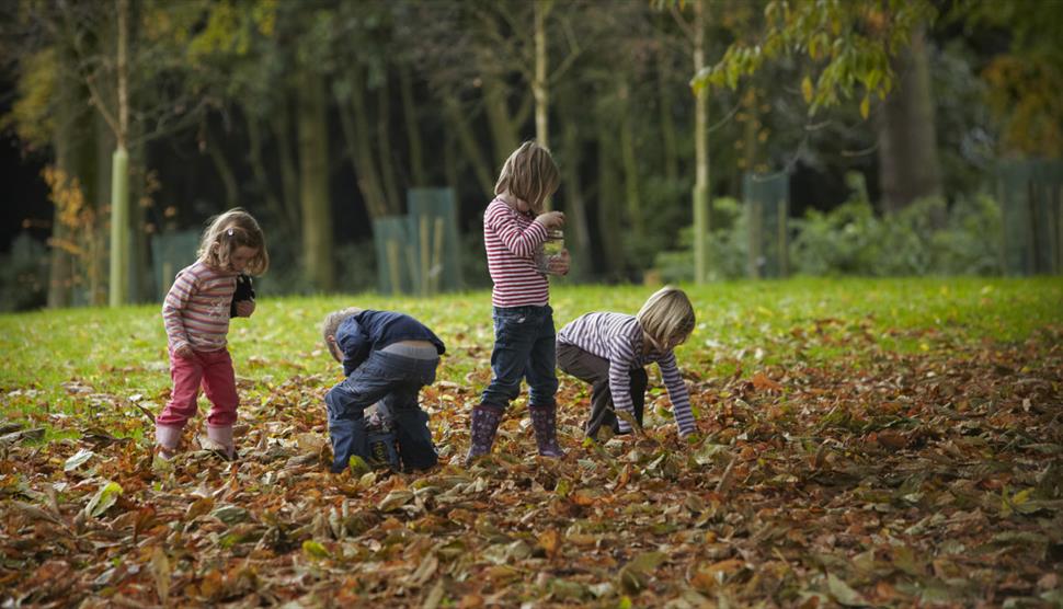 October half-term at Mottisfont