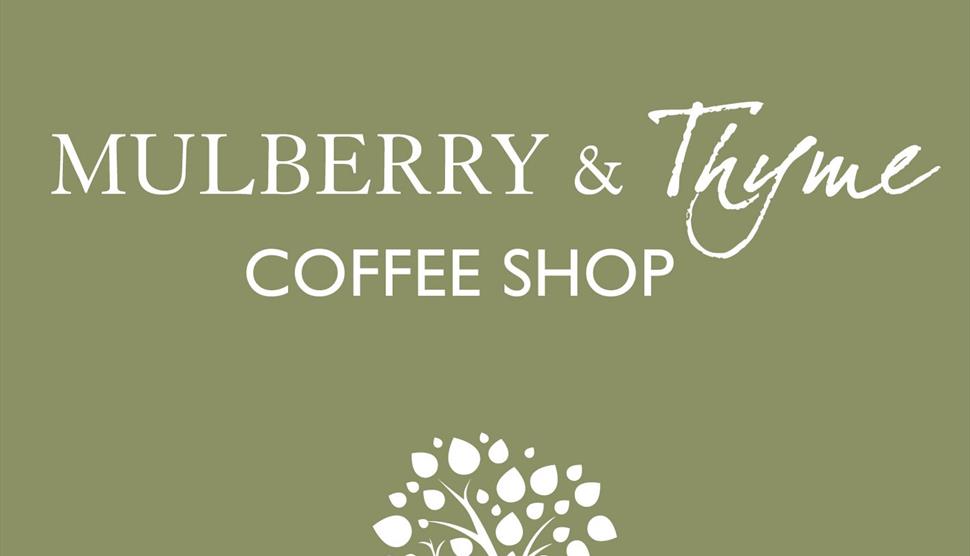 Mulberry & Thyme Coffee Shop Winchester