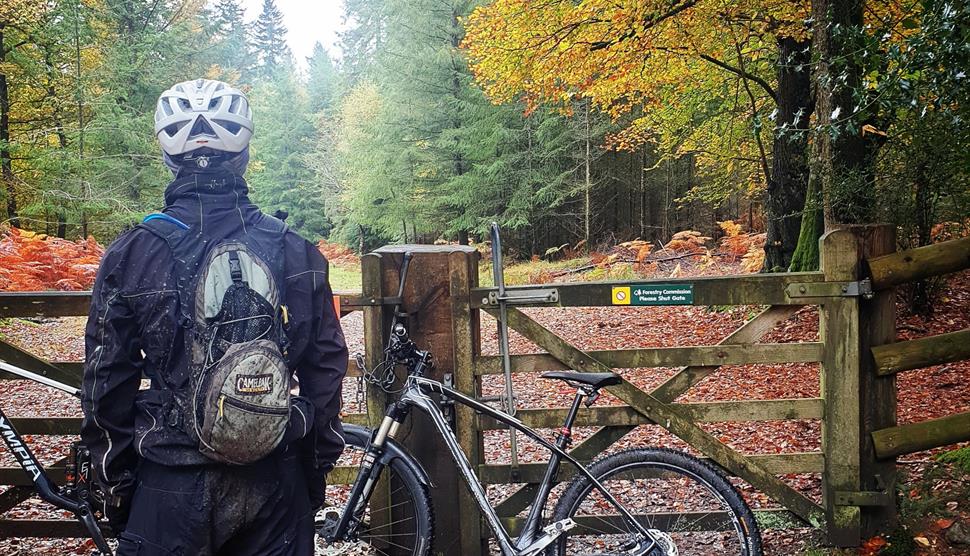 The Old Railway Line Cycle Tour in Brockenhurst