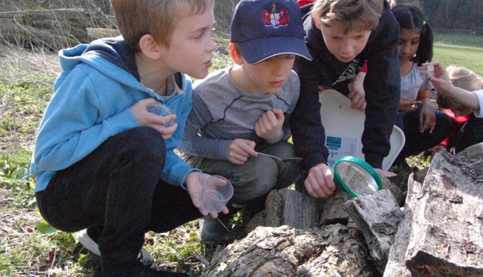 Nature Explorer Days at Gilbert White's House & Gardens