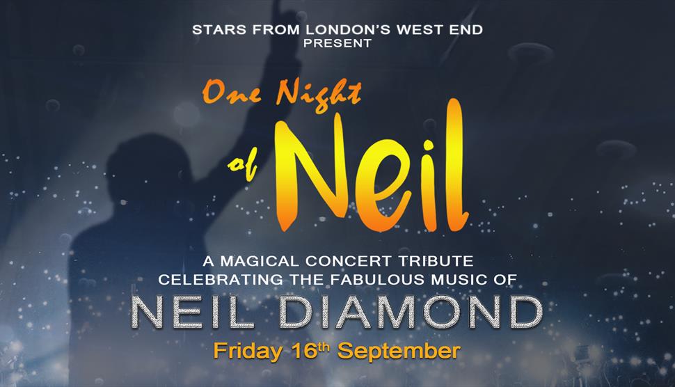 One Night Of Neil at The Ageas Bowl
