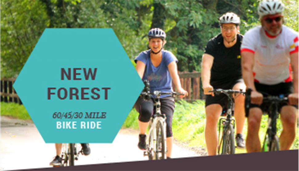 New Forest Bike Ride Visit Hampshire