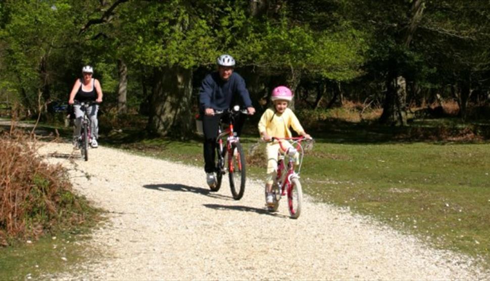 new forest bike park