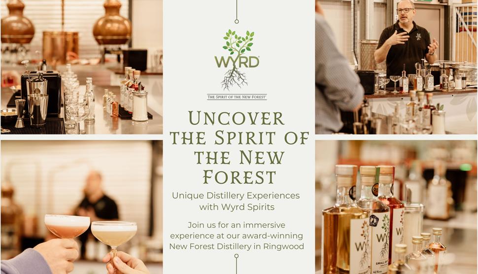 New Forest Spirits