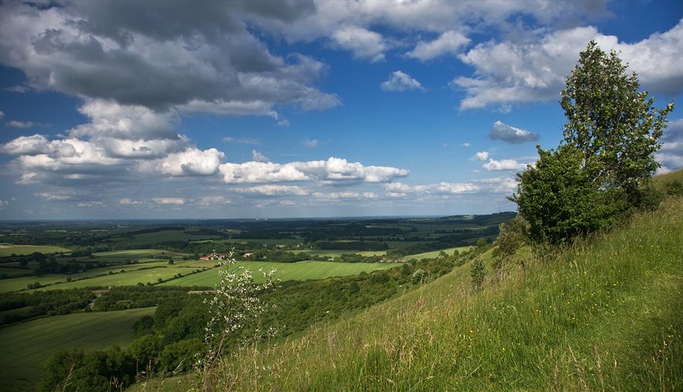 North Wessex Downs