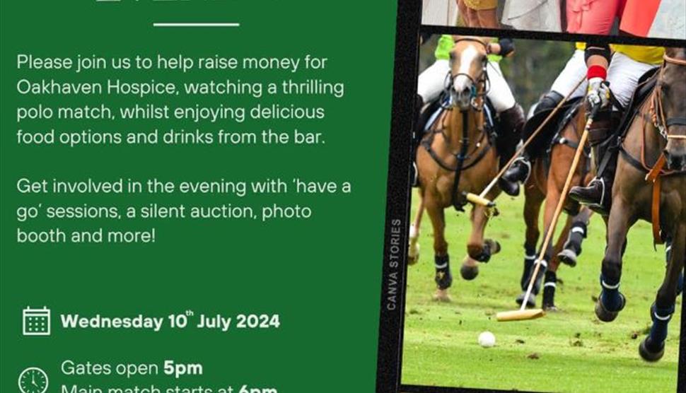 Kuseyo Cup Charity Polo Evening at New Forest Polo Club