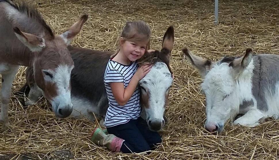 May Half Term Farm Open Days at Miller's Ark Animals