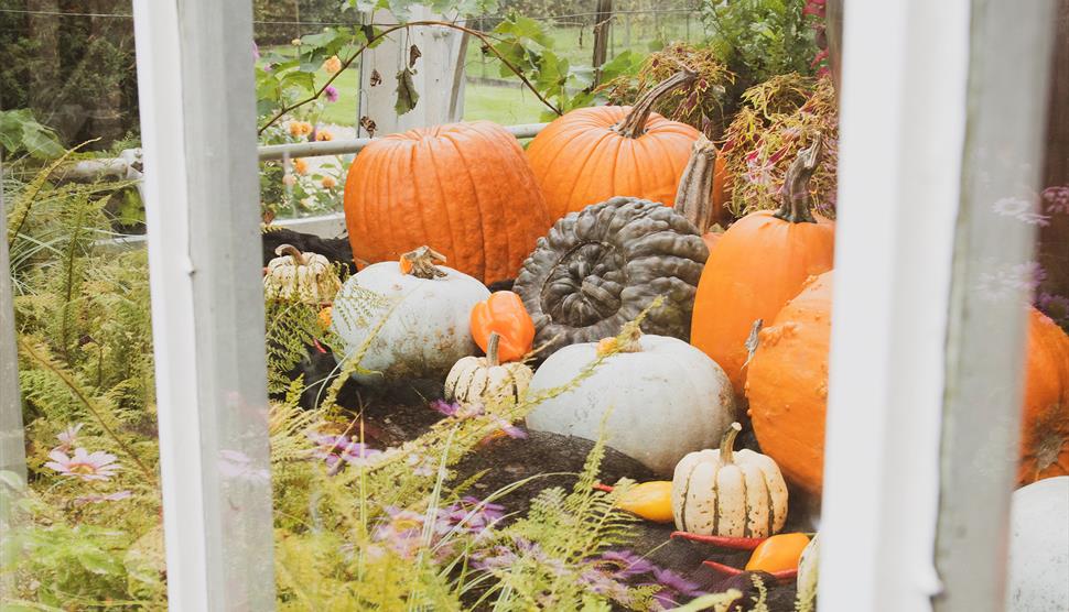 October Half Term at Beaulieu