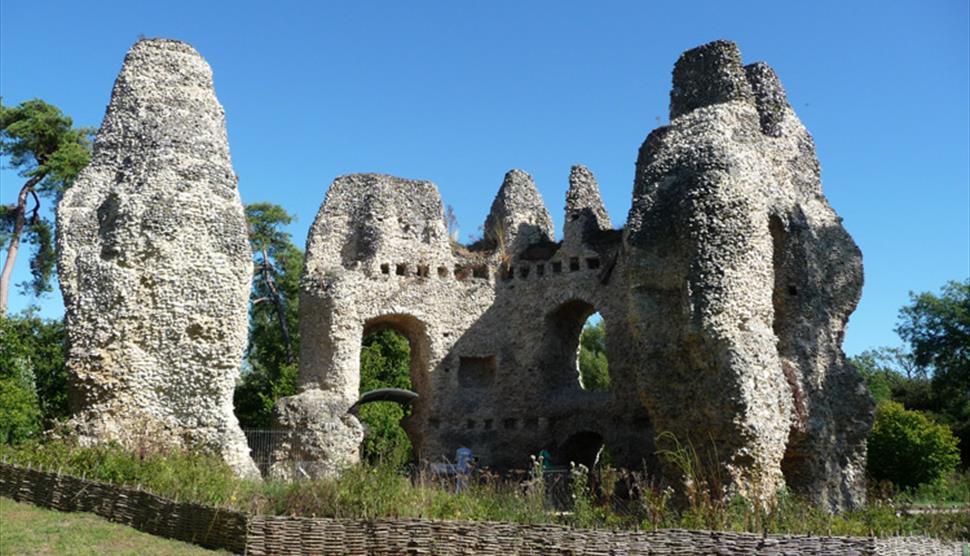 Odiham Castle