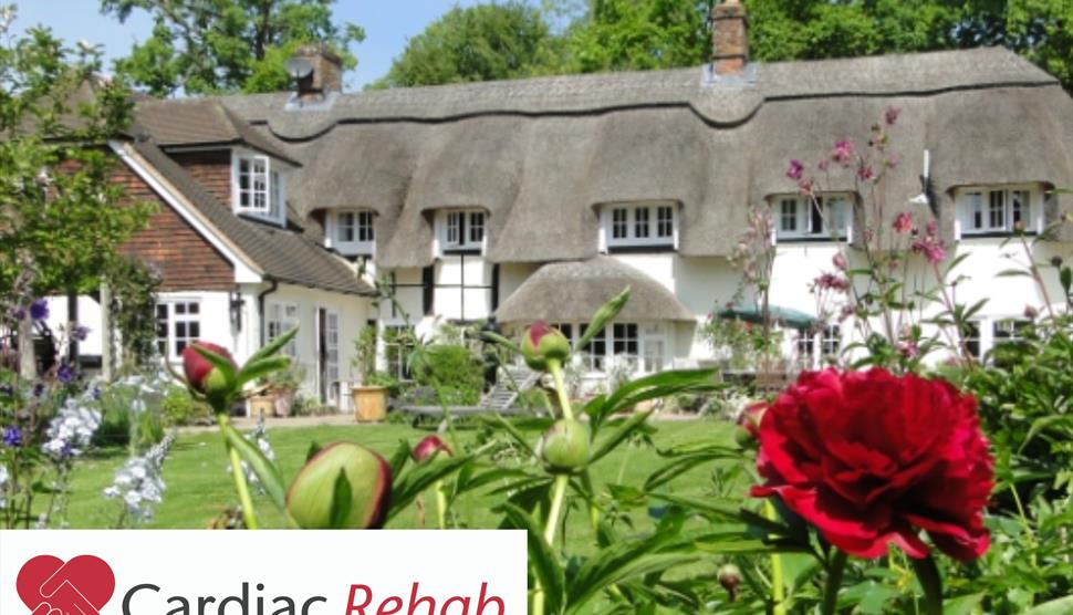 Thatched Cottage and garden