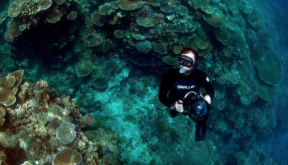 Is it too late to save the Ocean? Talk by David Jones at Stansted Park