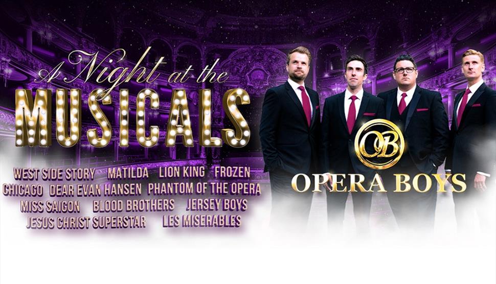 Poster for Opera Boys: A Night at the Musicals
