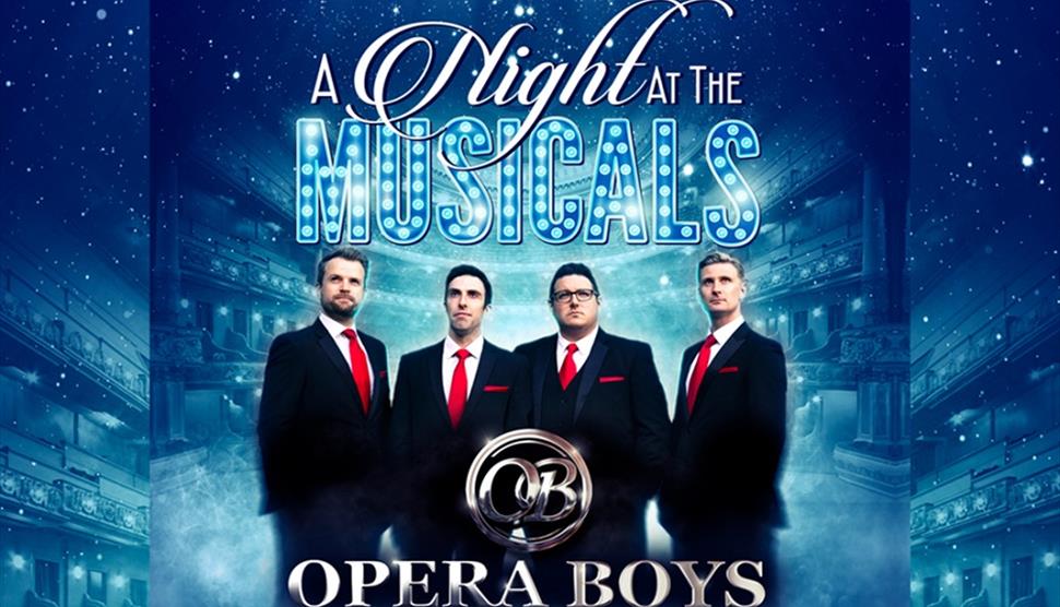 Poster for Opera Boys - A night at the musicals