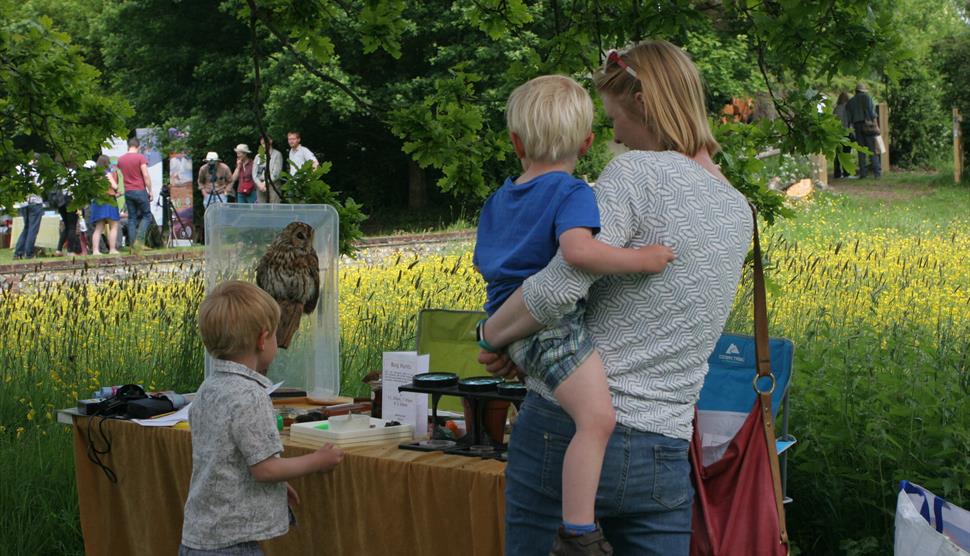 Nature Day at Gilbert White's House & Gardens