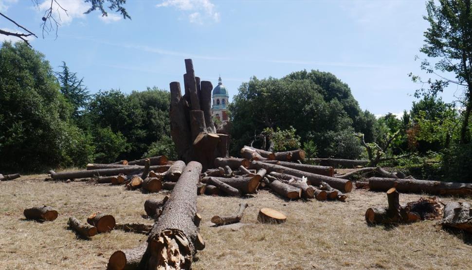 Fair Ways Fairy Garden Launch at Royal Victoria Country Park