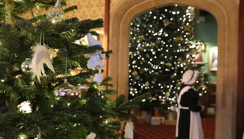 Festive Fun at Beaulieu