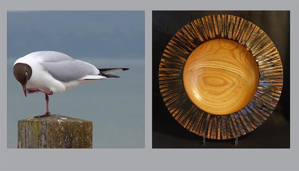 Oakwood Art Studio Part of Hampshire Open Studios