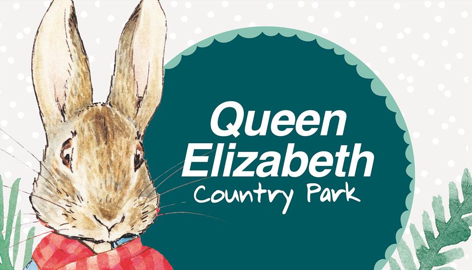 A Peter Rabbit™ Festive Adventure at Queen Elizabeth Country Park