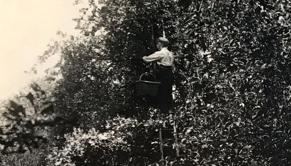 125 Years in the Gardens at The Vyne