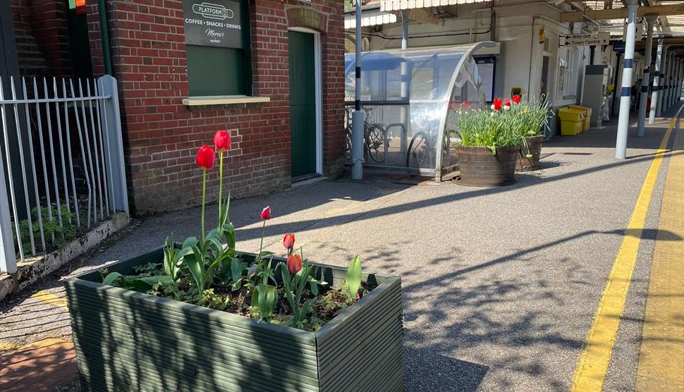 Platform 2 Romsey