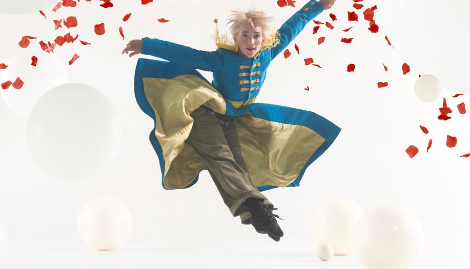 Protein Dance's The Little Prince at The Point