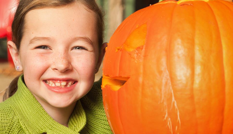 Halloween activities at Green Hill Farm Holiday Village