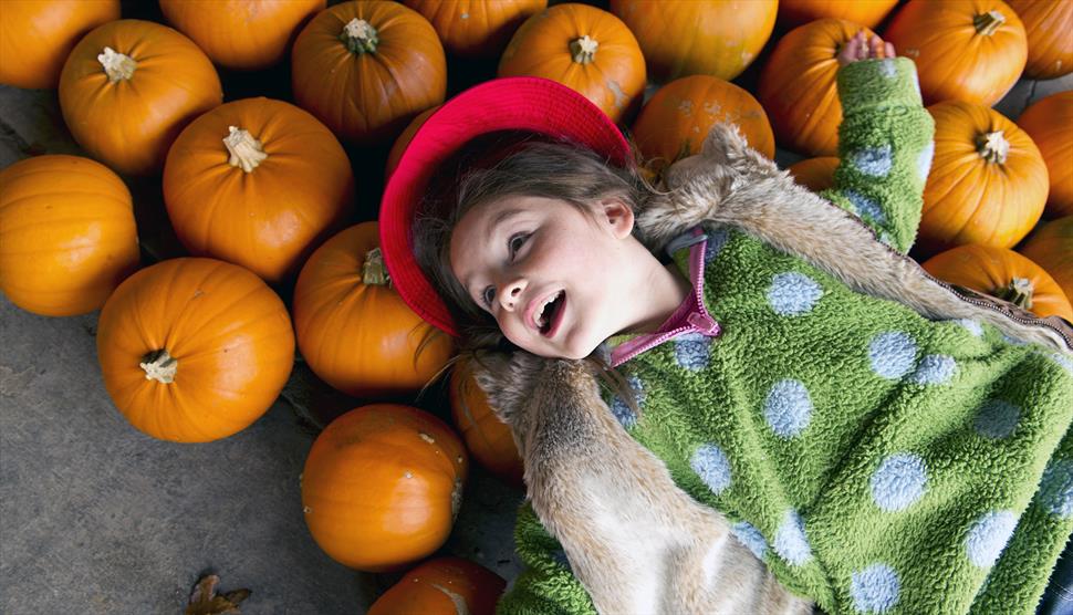 Halloween Pumpkin Carving at Winchester City Mill