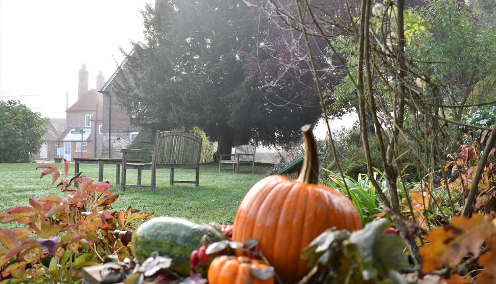 Twilight Tour: Halloween Special at Jane Austen's House