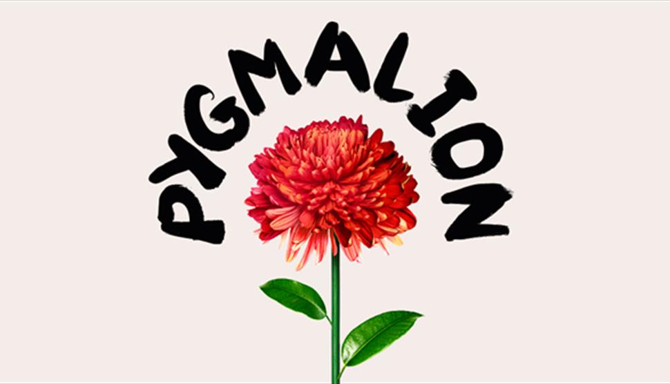 Pygmalion at Nuffield Theatre