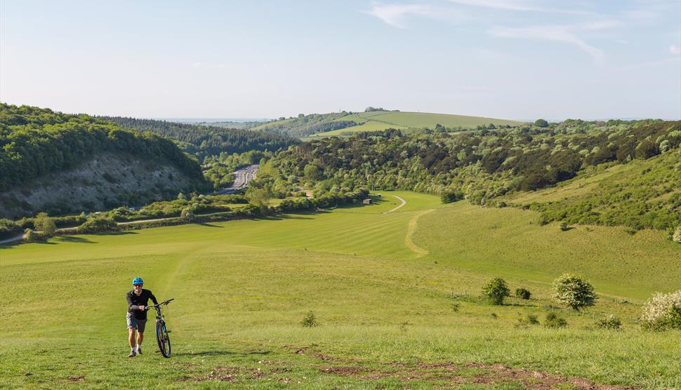 Queen Elizabeth Country Park Open Day