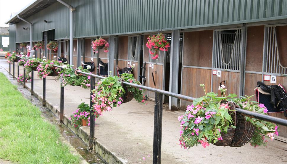 Teddy Bear's Picnic at Quob Stables