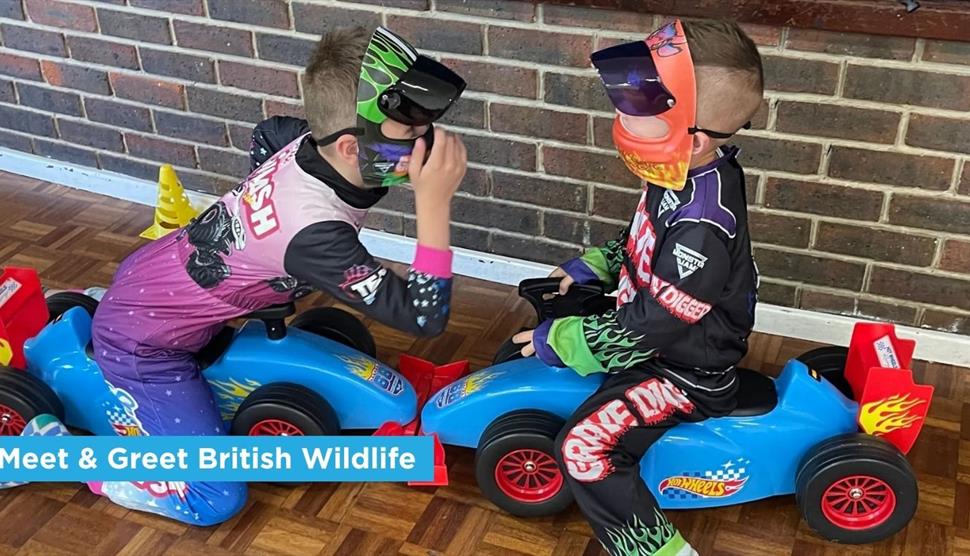 Racing Cars & Monster Trucks at Sky Park Farm