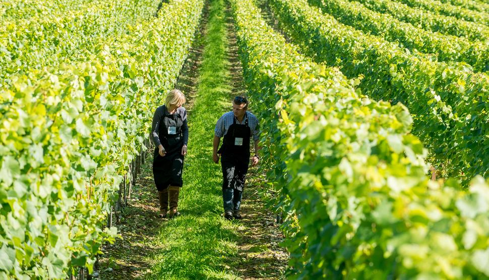 Raimes Vineyard Sparkling Cellar Door & Tours