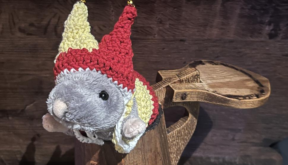 Rats in Hats at The Mary Rose Portsmouth Historic Dockyard