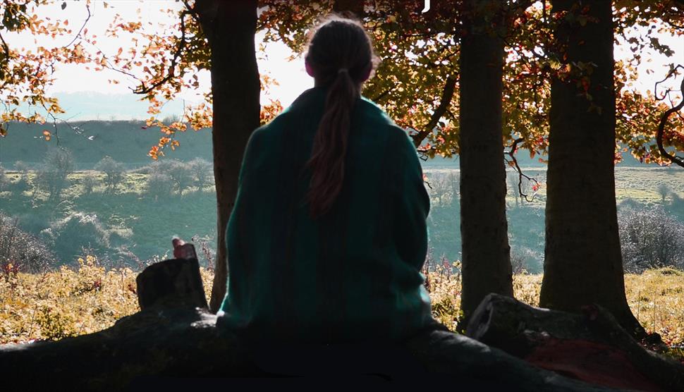 Resonance Photography: Mindful Creativity in Nature at Queen Elizabeth Country Park