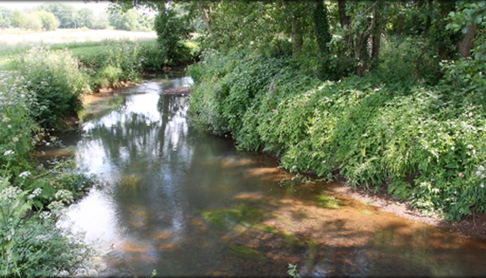 Woodington / Whinwhistle Fisheries