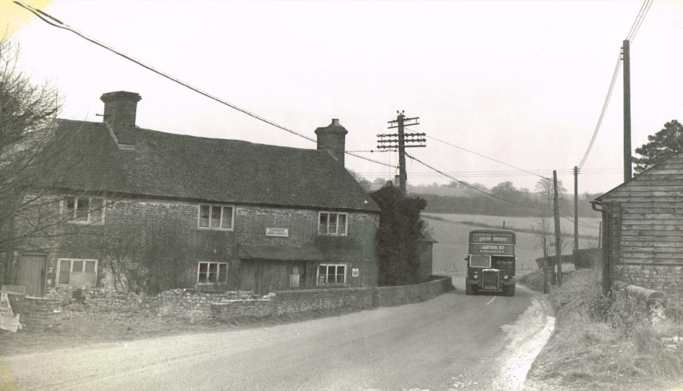Petersfield Museum Roadshow