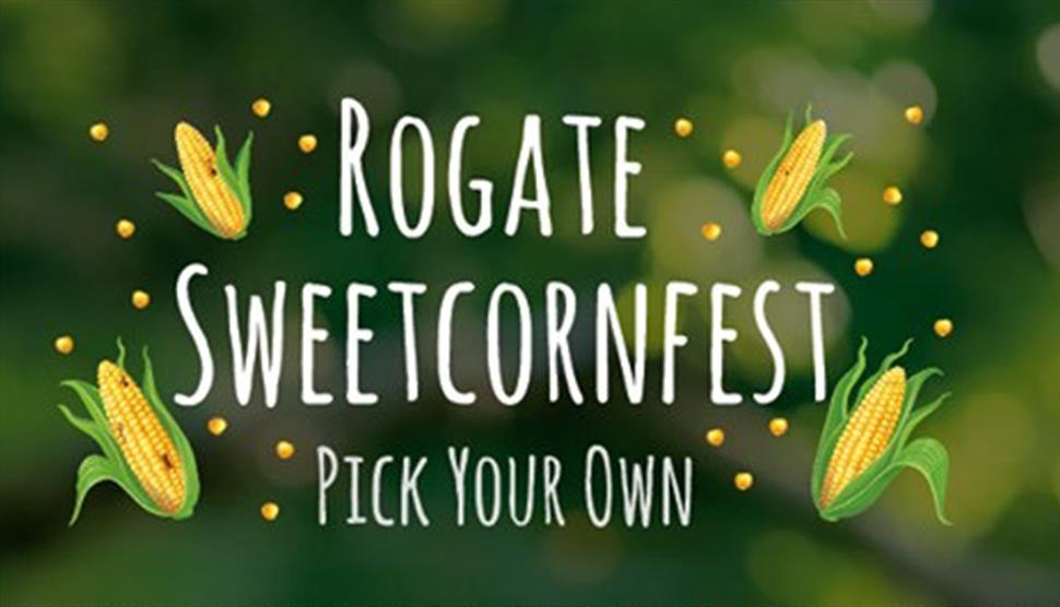 Rogate Sweetcornfest