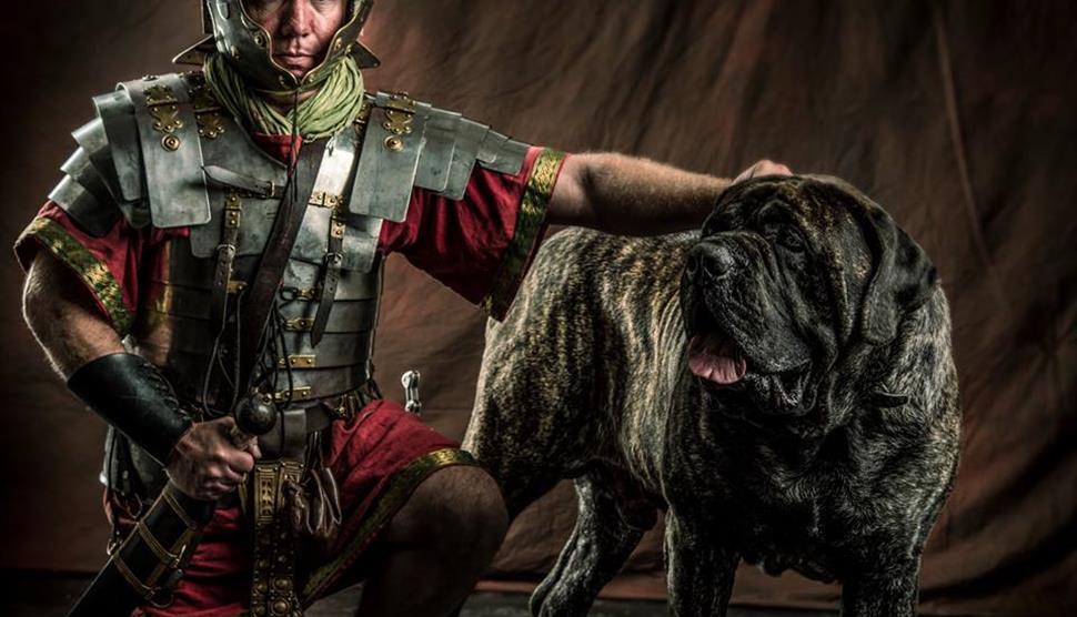 Glorious Games & Gladiators