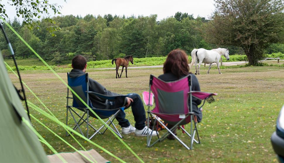 Roundhill Campsite, New Forest: Visit-Hampshire.co.uk